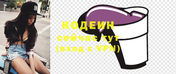 соль ск Дмитров